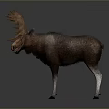 Realistic Moose Figurine With Large Antlers And Textured Body Standing On Dark Surface