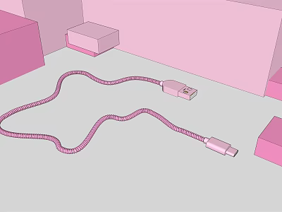 Pink Charging Cable With USB And Type C Connectors For Mobile Devices 3d model
