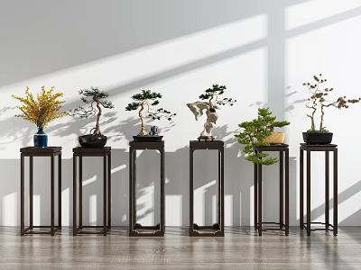 Dark Wooden Flower Stands With Various Potted Plants Indoor White Wall Wooden Floor Sunlight Shadows 3d model