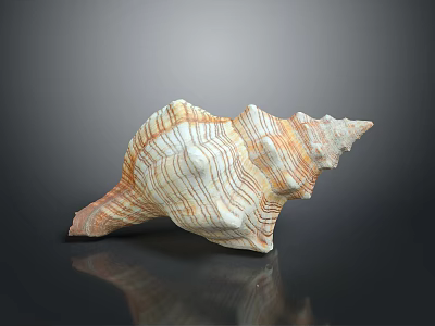 Aquatic Animal Conch Spiral Shape With Orange And White Stripes Smooth Surface 3d model