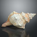 Modern Conch Bone Snail Field Snail 3d model