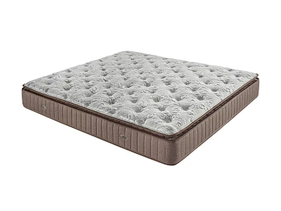 Comfortable Spring Mattress With Soft Patterned Surface And Brown Border 3d model