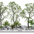 Arboreal Trees in Natural Landscape Design with Stones and Green Shrubs