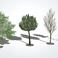 modern tree landscape tree arbor 3d model