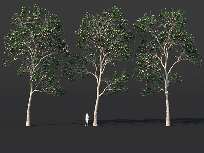 Three White Trunk Trees With Green Leaves Pink Flowers And Small Figure Underneath 3d model