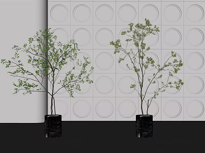 Two Bonsai Trees with Green Leaves in Black Pots Against Circular Patterned Wall 3d model