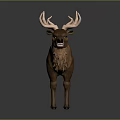 3D Rendered Detailed Deer Model With Large Antlers Brown Fur Standing Pose