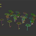 Green Leafy Plants With Round Leaves On Tall Stems Growing In Multiple Clusters