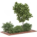 Lush Green Tree Planter Featuring Tall Tree And Lush Bushes In Wooden Base