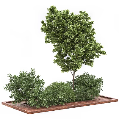 Lush Green Tree Planter Featuring Tall Tree And Lush Bushes In Wooden Base 3d model