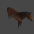 Detailed Brown Horse Standing Against Light Blue Background In 3D Rendering