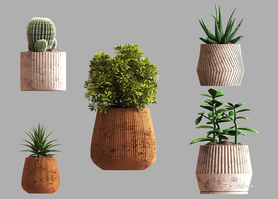 Modern Bonsai Potted Plants With Different Shaped Pots And Lush Green Leaves 3d model 
