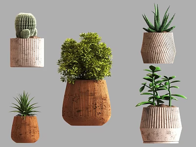 Modern Bonsai Potted Plants With Different Shaped Pots And Lush Green Leaves 3d model