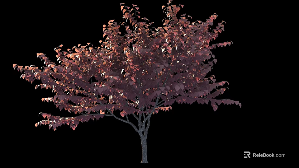 Ornamental Arbor Featuring Vibrant Purple Red Leaves for Garden Landscaping 3d model 