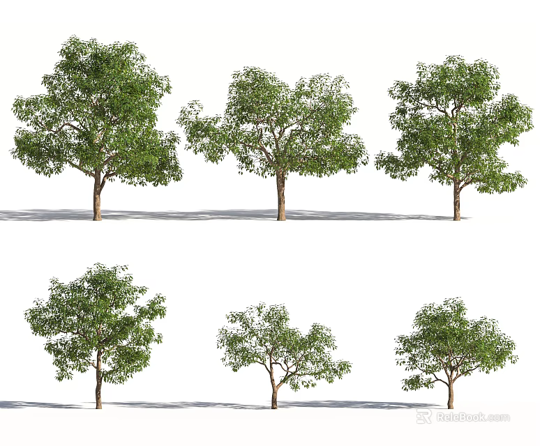 Arbor Trees Featuring Lush Green Foliage And Different Growth Shapes 3d model
