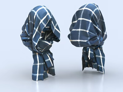 Blue And White Plaid Clothing In Head Covering Style With Double View Soft Fabric Texture 3d model