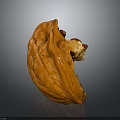 Peeled Walnut With Split Shell And Exposed Fresh Kernel On Dark Surface
