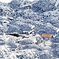 Aerial View Planning of Construction Site With Yellow Bulldozer Rubble and Metal Container