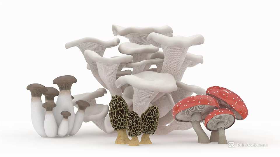Fresh Edible Mushroom Vegetable Varieties Including White Brown And Red Types 3d model 