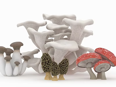 Fresh Edible Mushroom Vegetable Varieties Including White Brown And Red Types 3d model