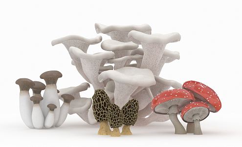 Modern Mushrooms 3d model