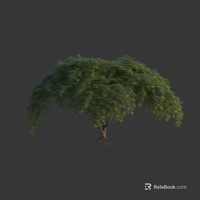 Elegant Arbor with Lush Green Foliage Dense Canopy and Strong Root System 3d model