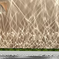 Elegant Strand Decorative Lights Creating Wall Art With Green Grass And Pebbles