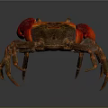 Vibrant Red Clawed Crab With Brown Body And Detailed Exoskeleton Close Up