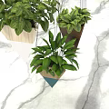 Stylish Three Conical Hanging Planters with Lush Green Plants Against Marble Floor