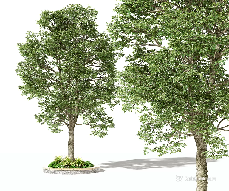 Tall Trees Featuring Green Leaves Thick Trunks Circular Flower Bed Grass And Shadow 3d model