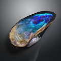 Abalone Shell With Iridescent Blue Green Purple Shiny Surface On Dark Background 3d model