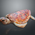 Colorful Sea Turtle with Red and Orange Shell Pattern Head and Limbs on Dark Background 3d model