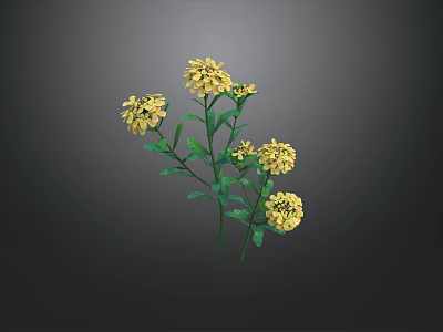 Fresh Yellow Flowers With Green Leaves In Natural Plant Arrangement 3d model