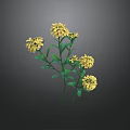 Fresh Yellow Flowers With Green Leaves In Natural Plant Arrangement