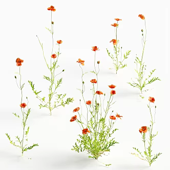 Flowers Small Flowers Plants Green Plants 3d model