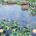 Modern Lotus Pond 3d model