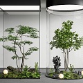 indoor landscape landscaping courtyard sketch landscape tree plant combination interior landscape interior landscaping 3d model