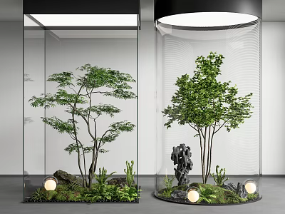 Modern Indoor Landscape With Glass Enclosures Trees Green Plants Stones And Lighting 3d model