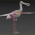 Pink and White Bird with Long Beak Long Legs and Spread Wings in Grassland Woodland