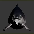 Spotting Dolphin Cartoon Dolphin Animation Dolphin Animation Dolphin Animation Character Game Character 3d model