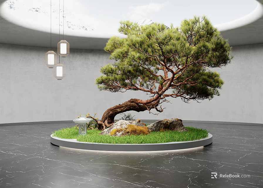 Twisted Trunk Pine Tree in Modern Interior with Circular Platform Grass Rocks and Small Lantern 3d model 