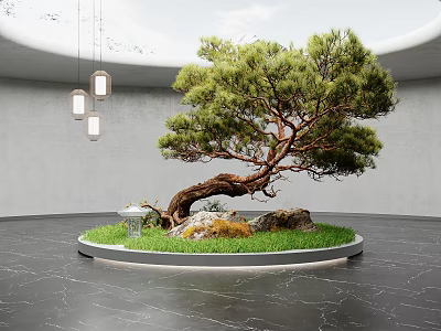 Twisted Trunk Pine Tree in Modern Interior with Circular Platform Grass Rocks and Small Lantern 3d model