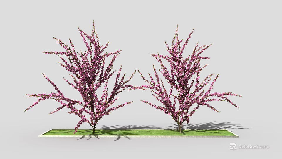 Two Ornamental Arbor Trees with Purple Blossoms Growing on Green Grass Area 3d model 