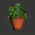 Indoor Green Plants With Different Leaf Patterns In Gray Pot Gold Stand And Red Pot