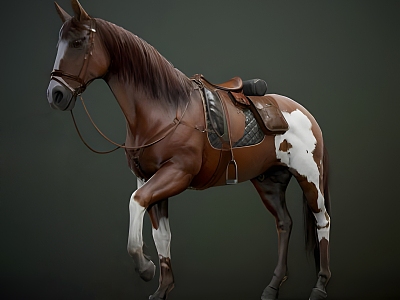 War Horse 3D Model 3d model