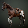 War Horse 3D Model 3d model