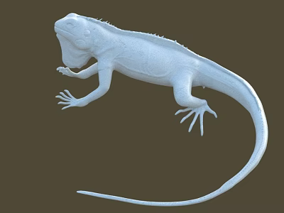 White Reptile Lizard in Standing Pose with Long Tail on Brown Background Detailed Model 3d model