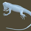 White Reptile Lizard in Standing Pose with Long Tail on Brown Background Detailed Model