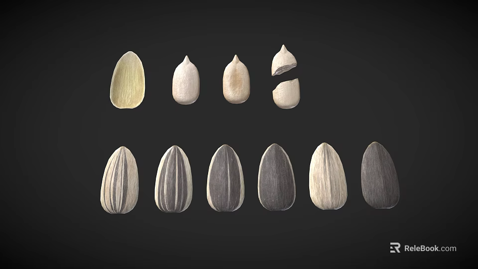 Different Types of Sunflower Seeds Including Shelled and Unshelled with Various Colors 3d model 