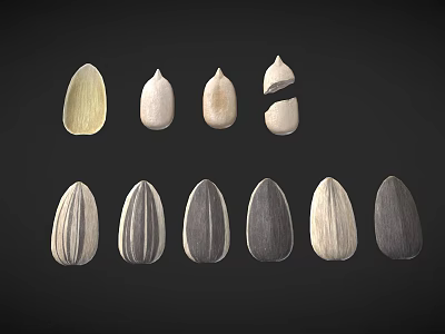 Different Types of Sunflower Seeds Including Shelled and Unshelled with Various Colors 3d model